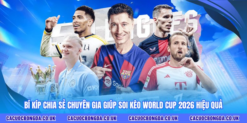 Bí kíp chia sẻ chuyên gia giúp soi kèo World Cup 2026 hiệu quả