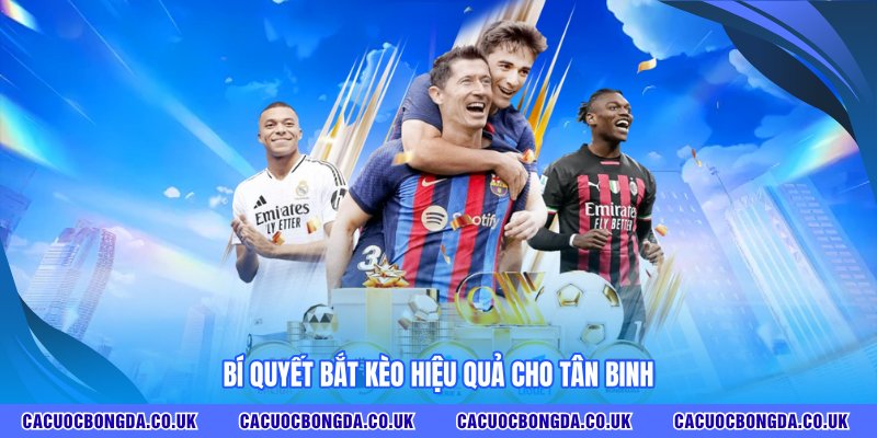 Bí quyết bắt kèo hiệu quả cho tân binh