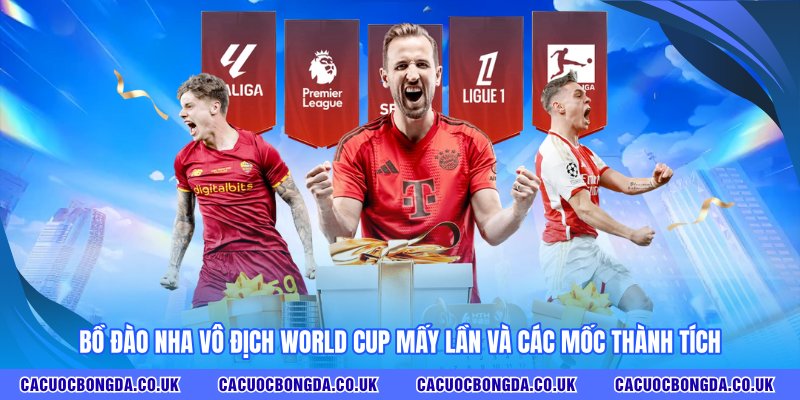 Bồ Đào Nha vô địch World Cup mấy lần và các mốc thành tích