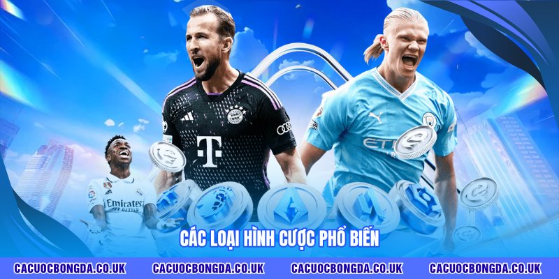 Các loại hình cược C1 phổ biến