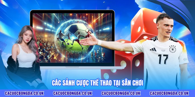 Các sảnh cược thể thao tại sân chơi