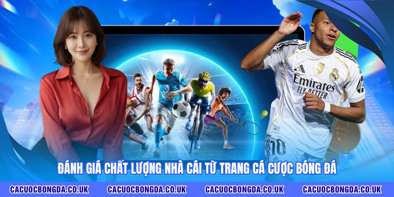 Đánh giá chất lượng nhà cái từ TRANG CÁ CƯỢC BÓNG ĐÁ