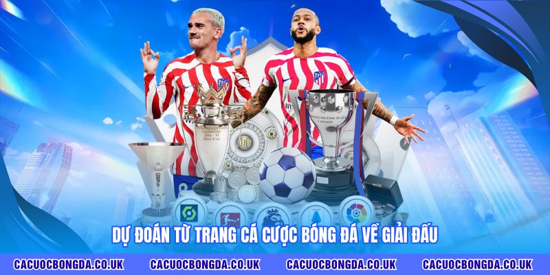 Dự đoán từ TRANG CÁ CƯỢC BÓNG ĐÁ về giải đấu