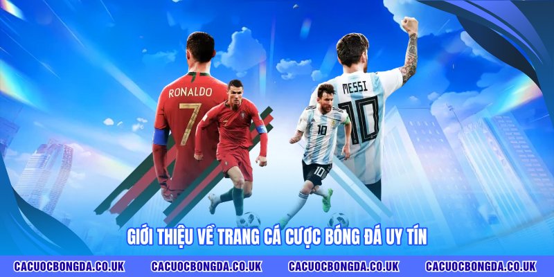 Giới thiệu về TRANG CÁ ĐỘ BÓNG ĐÁ uy tín
