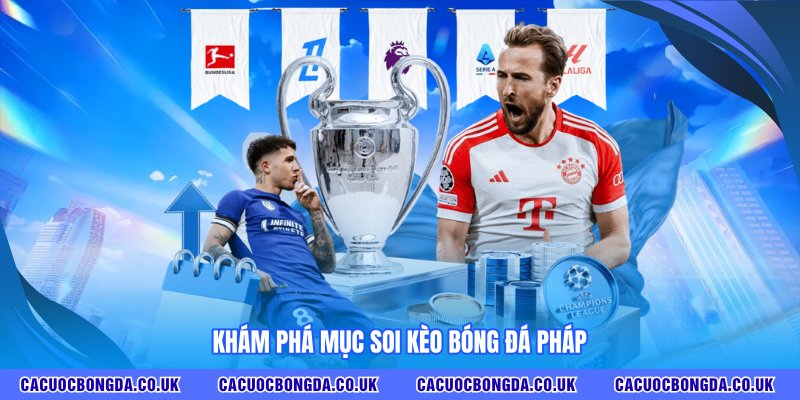 Khám phá mục soi kèo bóng đá Pháp