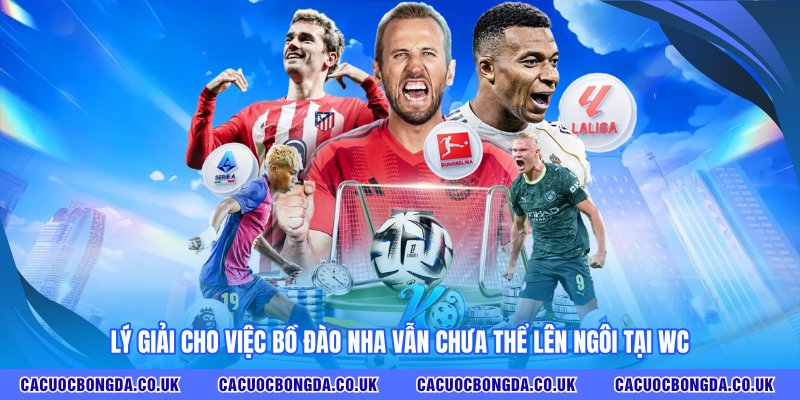Lý giải cho việc Bồ Đào Nha vẫn chưa thể lên ngôi tại WC