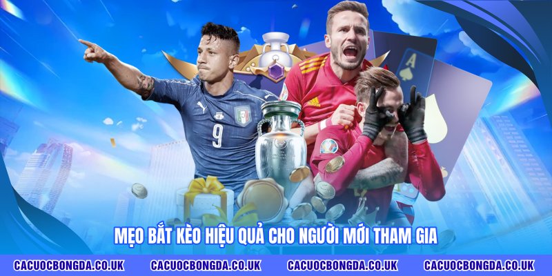 Mẹo bắt kèo hiệu quả cho người mới tham gia