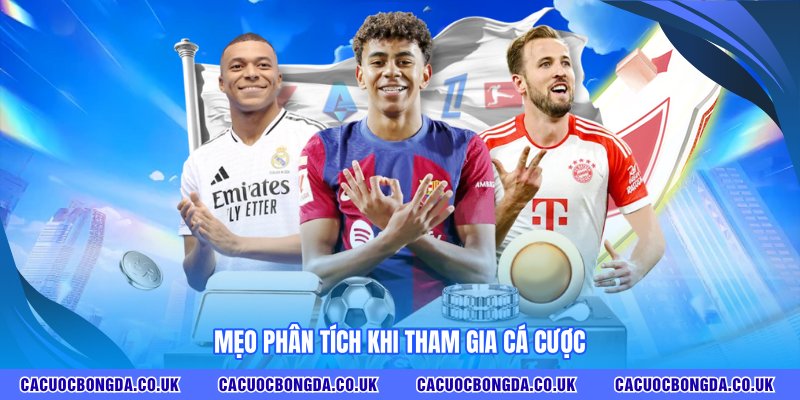 Mẹo phân tích khi tham gia cá cược