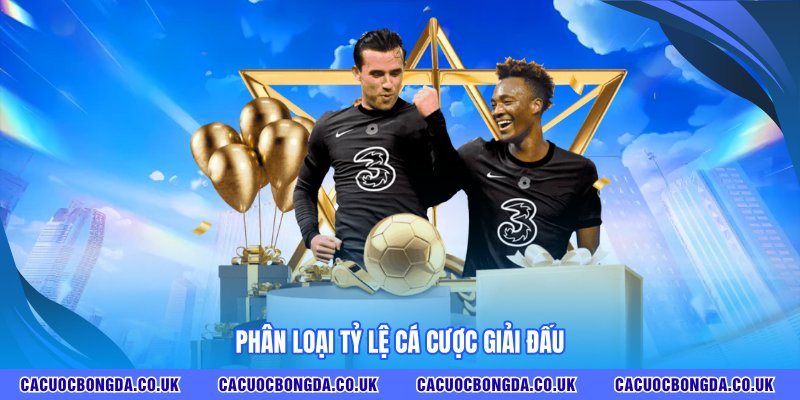 Phân loại tỷ lệ cá cược giải đấu