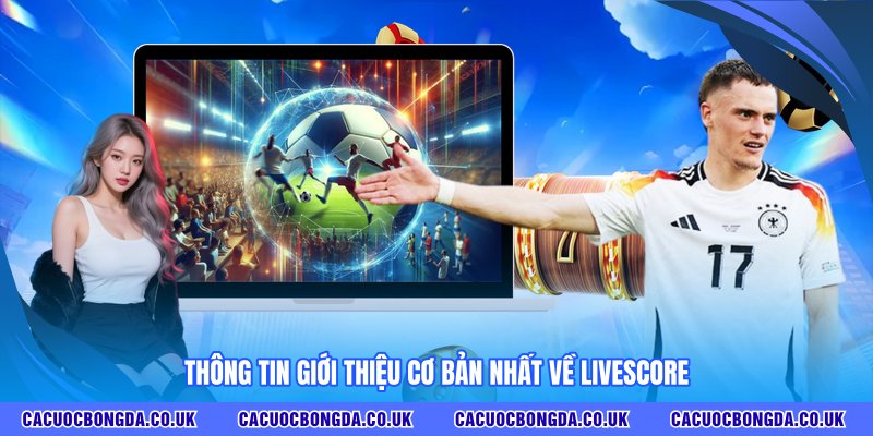 Thông tin giới thiệu cơ bản nhất về Livescore