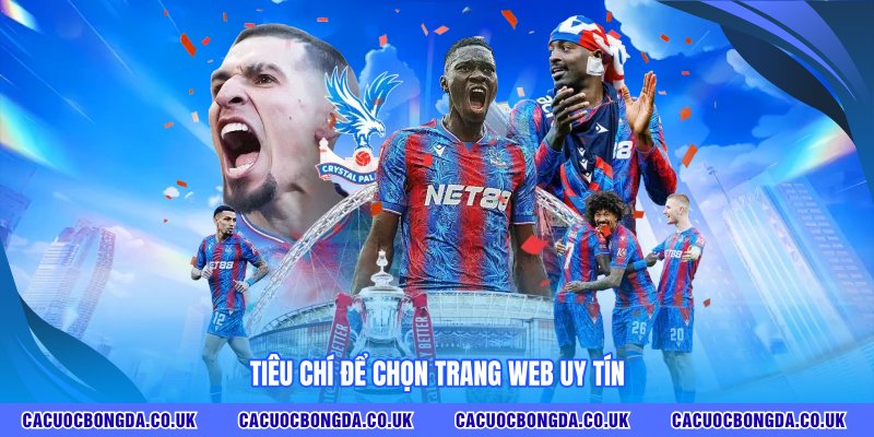 Tiêu chí để chọn trang web uy tín