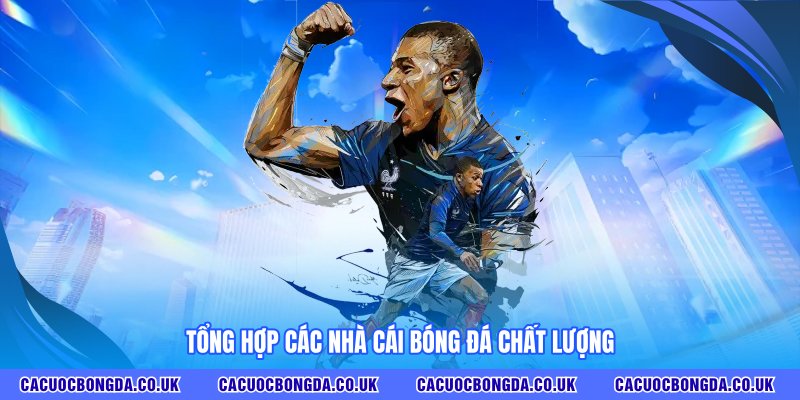 Tổng hợp các nhà cái bóng đá chất lượng