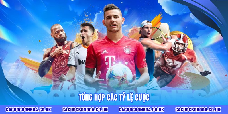 Tổng hợp các tỷ lệ cược