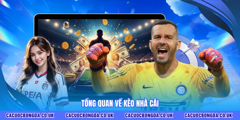 Tổng quan về kèo nhà cái