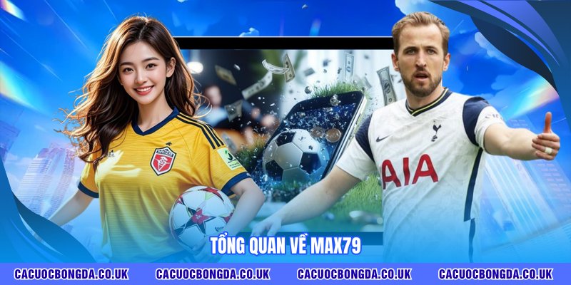 Tổng quan về MAX79