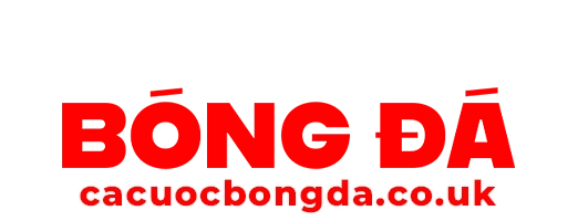 Top 10+ Trang Cá Độ Bóng Đá Ngoại Hạng Anh Uy Tín Nhất 2026