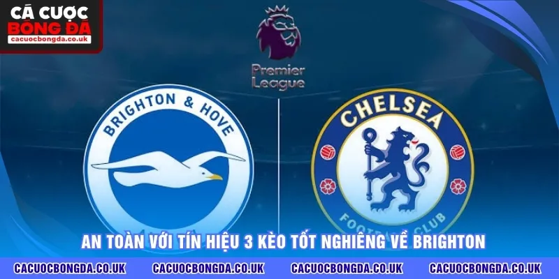 An toàn với tín hiệu 3 kèo tốt nghiêng về Brighton