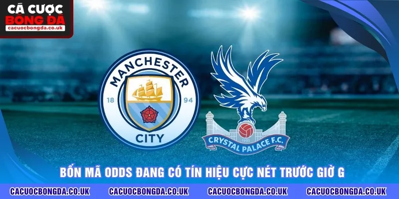 Bốn mã odds đang có tín hiệu cực nét trước giờ G