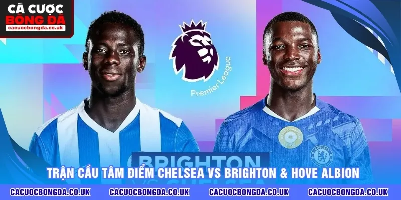 Trận cầu tâm điểm Chelsea vs Brighton & Hove Albion