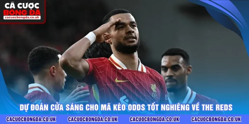 Dự đoán cửa sáng cho mã kèo odds tốt nghiêng về The Reds